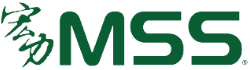 MSS Video Server